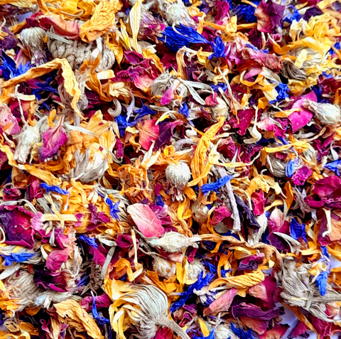 Dried Flowers