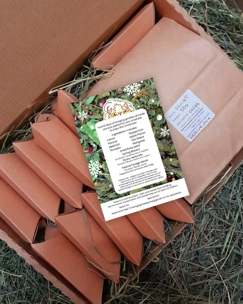 12 days of foragemas advent box