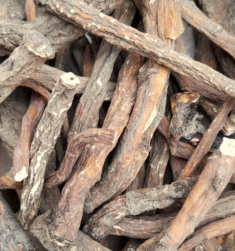 Dandelion Roots