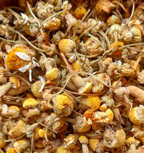 Chamomille buds