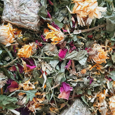 Sign up to our Forage subscription box today!