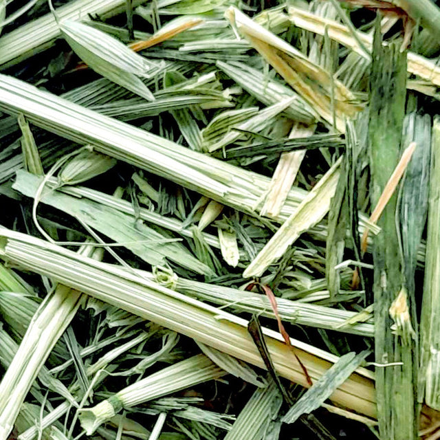 Green Oat