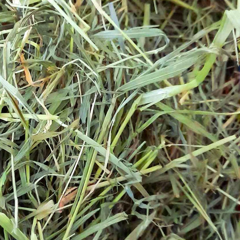 Timothy Hay (Plain) 465g