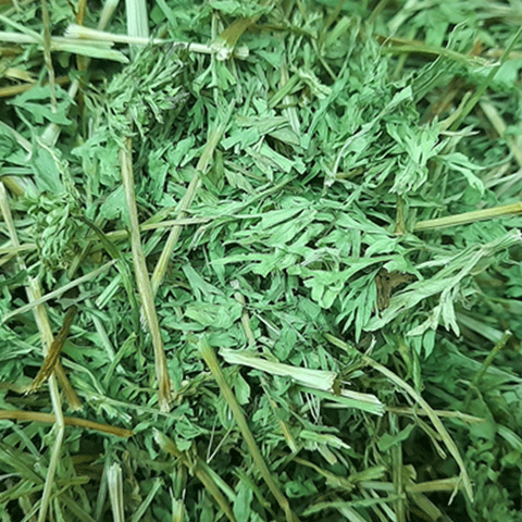 Carrot tops