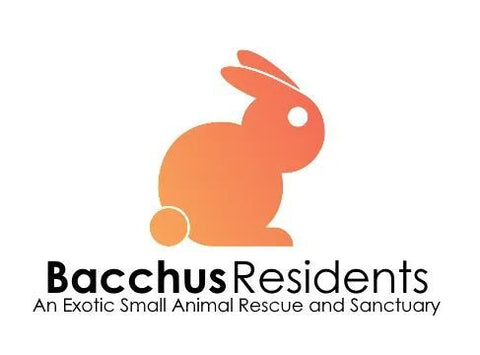 Support a rescue : Baccus Resident Rescue Congleton