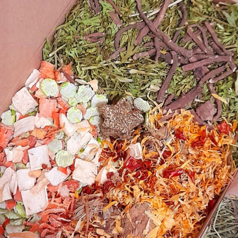 Festive forage dinner nibble tray