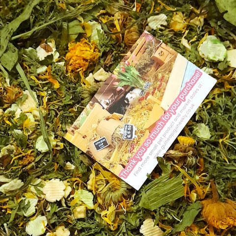 Forage Letter box Subscription (includes standard delivery)
