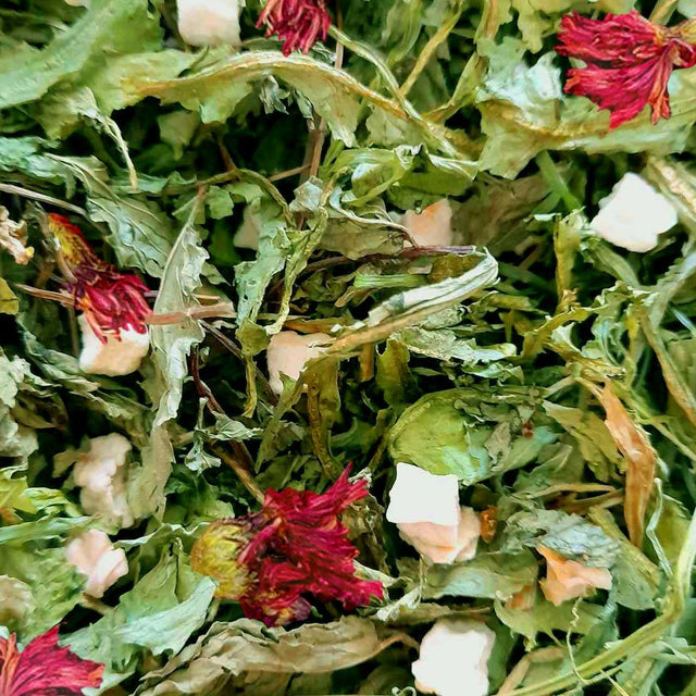 Season exclusive : Three wise herbs forage