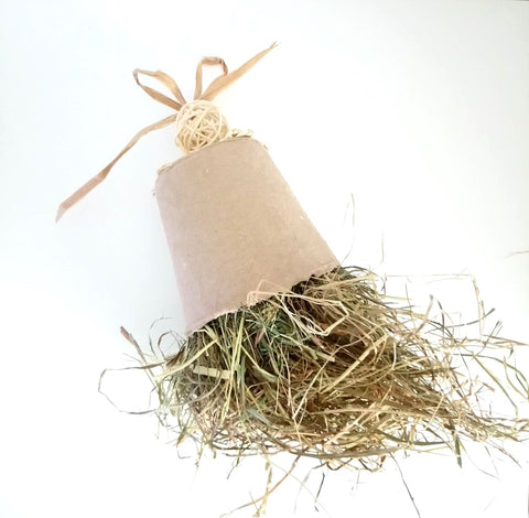 NEW IMPROVED! Wheeky Play Hay Cup UK SALE