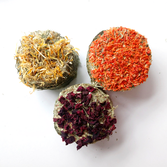 Wheek n Munch Hay Cookies UK SALE ONLY