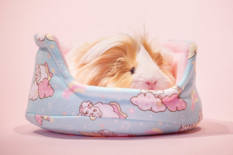 Unipiggie cuddle cup Guinea Pig Bed