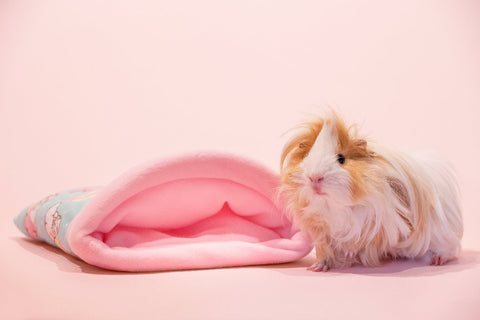 Guineapig Fleece Bed "Unipiggie" Snuggle Sack