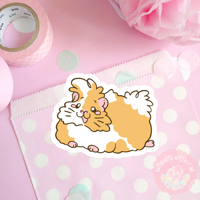 Peruvian Guinea Pig Decal Vinyl Sticker