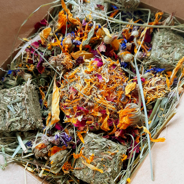 Spring Piggie Mix Boxes UK SALE