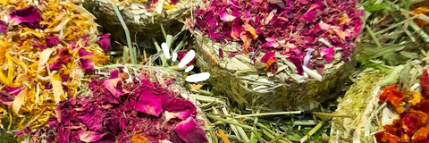 Meadow hay cookies with toppings for guinea pigs. 