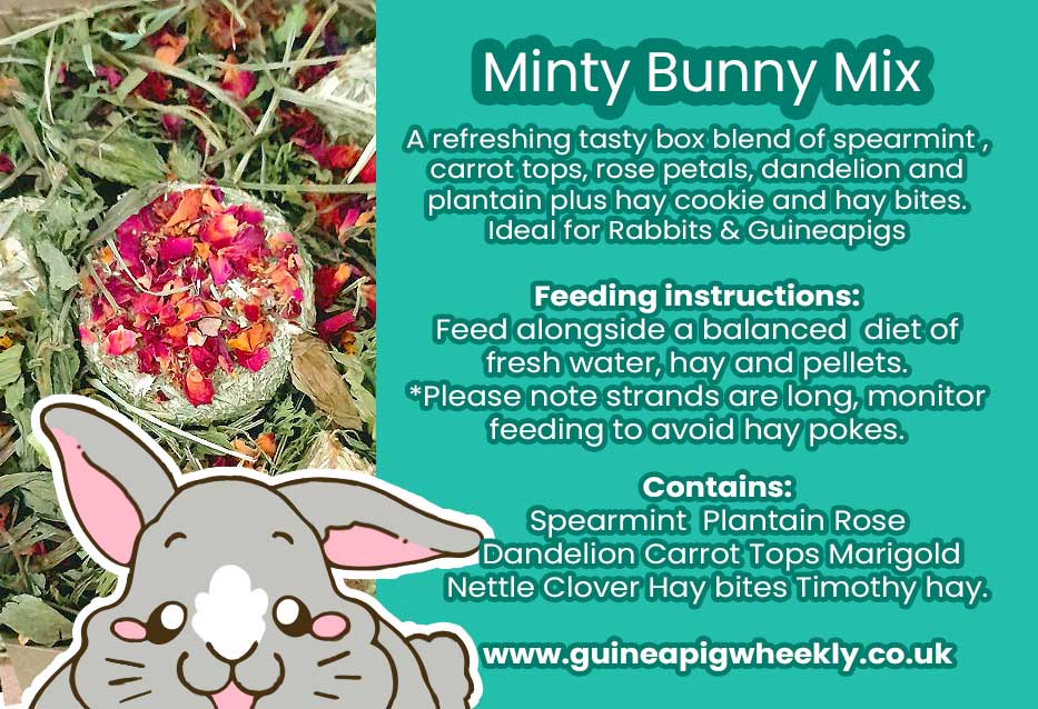 Minty Bunny Mix