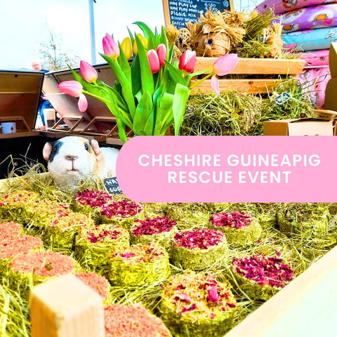 Cheshire Guineapig Rescue Events