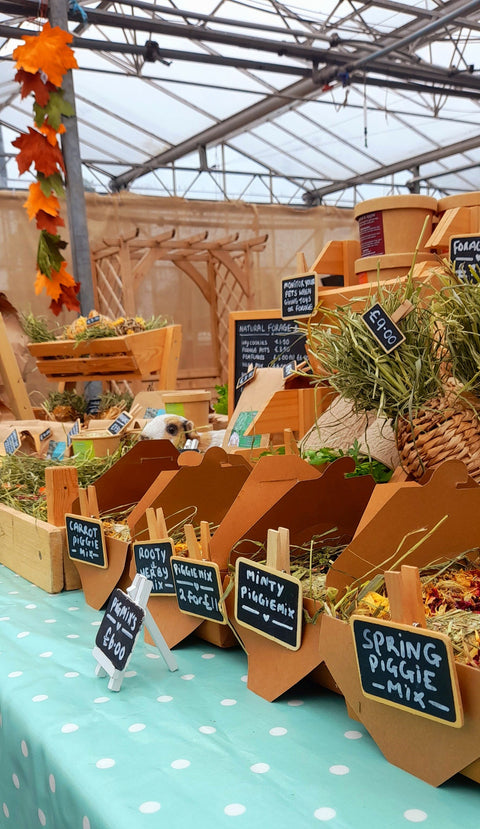 Find a small pet market near you!