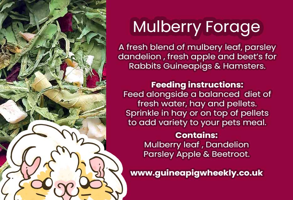 Mulberry Mix