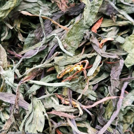 Plantain Leaf