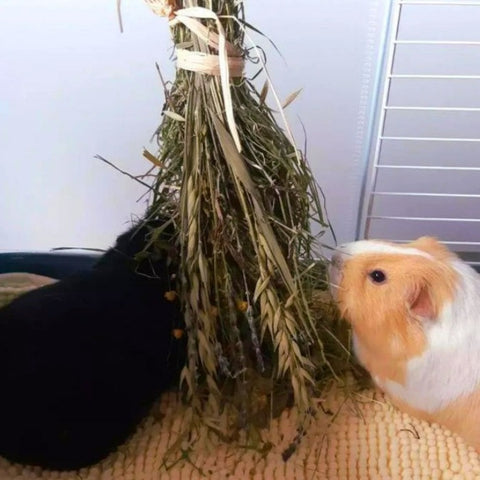 Munch Bunch Forage Bouquet