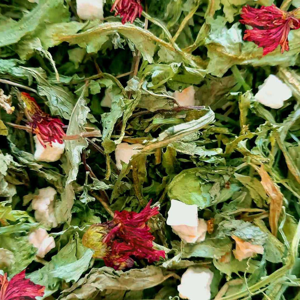 Season exclusive : Three wise herbs forage