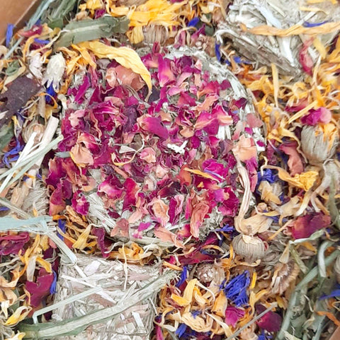 Spring Piggie Mix Boxes  UK SALE