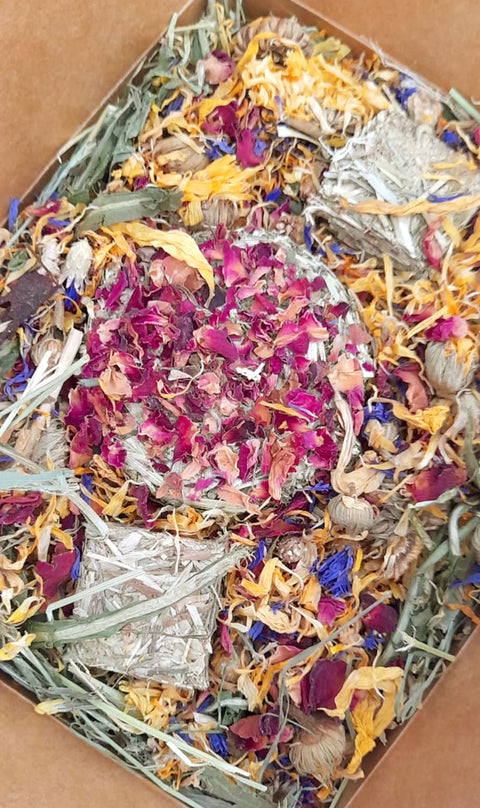 Spring Piggie Mix Boxes  UK SALE