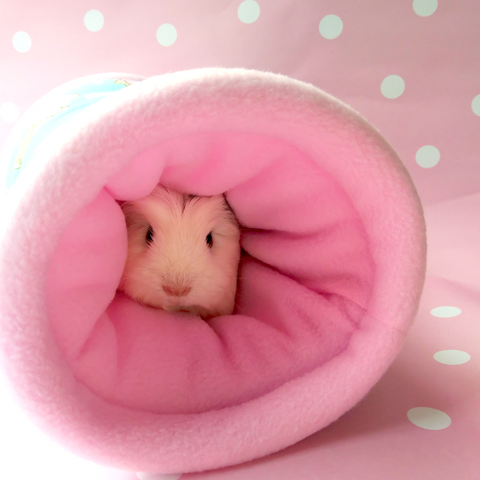 *New* Unipiggie Tunnel Guinea Pig Bed - Guineapig Wheekly UK