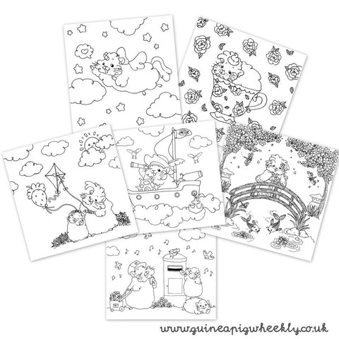 Anti Stress Colouring Pages Guinea Pig