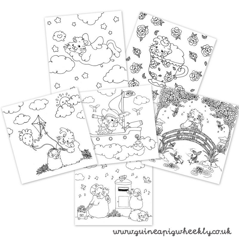 Anti Stress Colouring Pages Guinea Pig