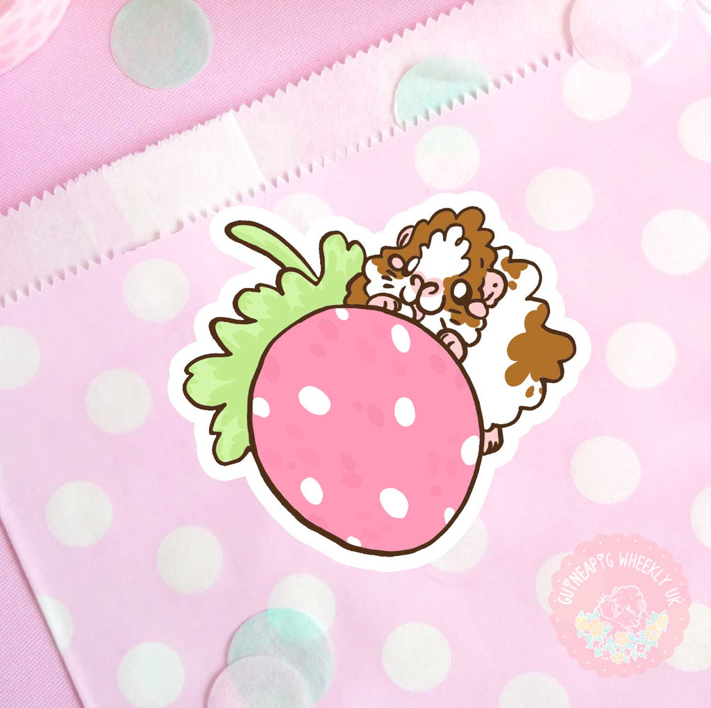 Berry Guinea Pig vinyl sticker