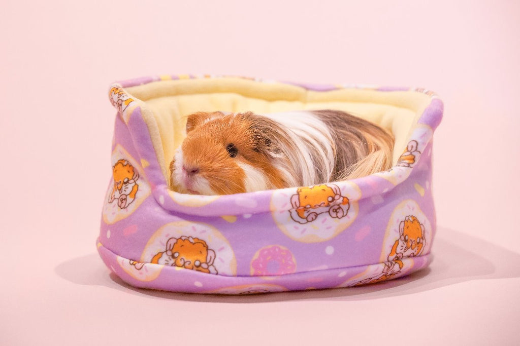 Donut cuddle cup Guinea Pig Bed