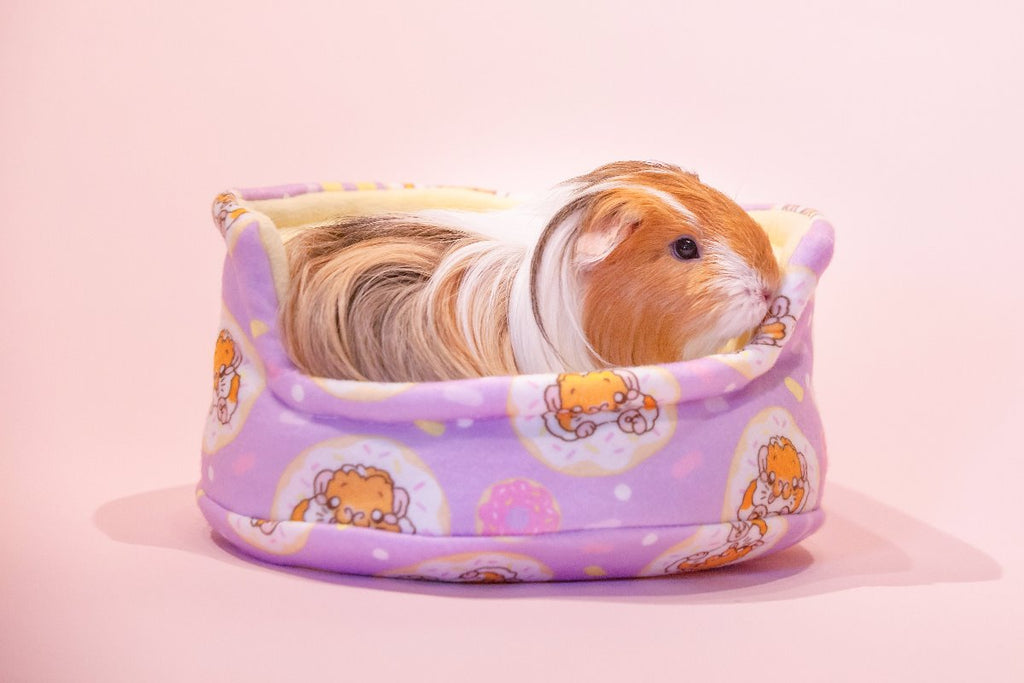 Donut cuddle cup Guinea Pig Bed