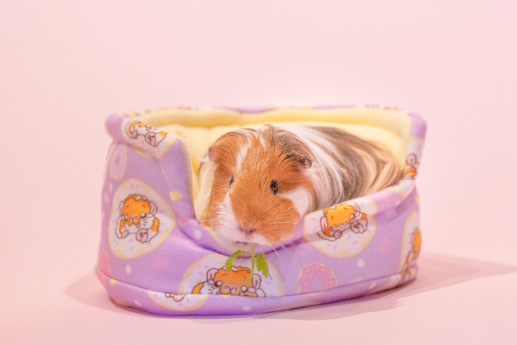 Donut cuddle cup Guinea Pig Bed