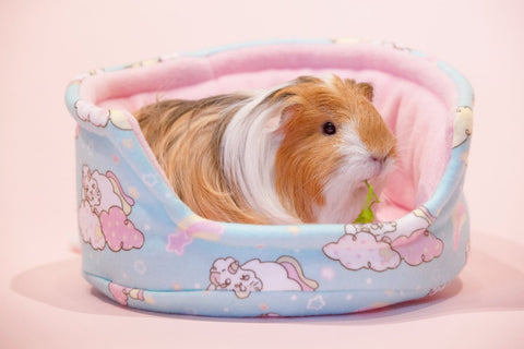 Unipiggie cuddle cup Guinea Pig Bed