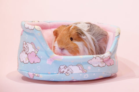 Unipiggie cuddle cup Guinea Pig Bed