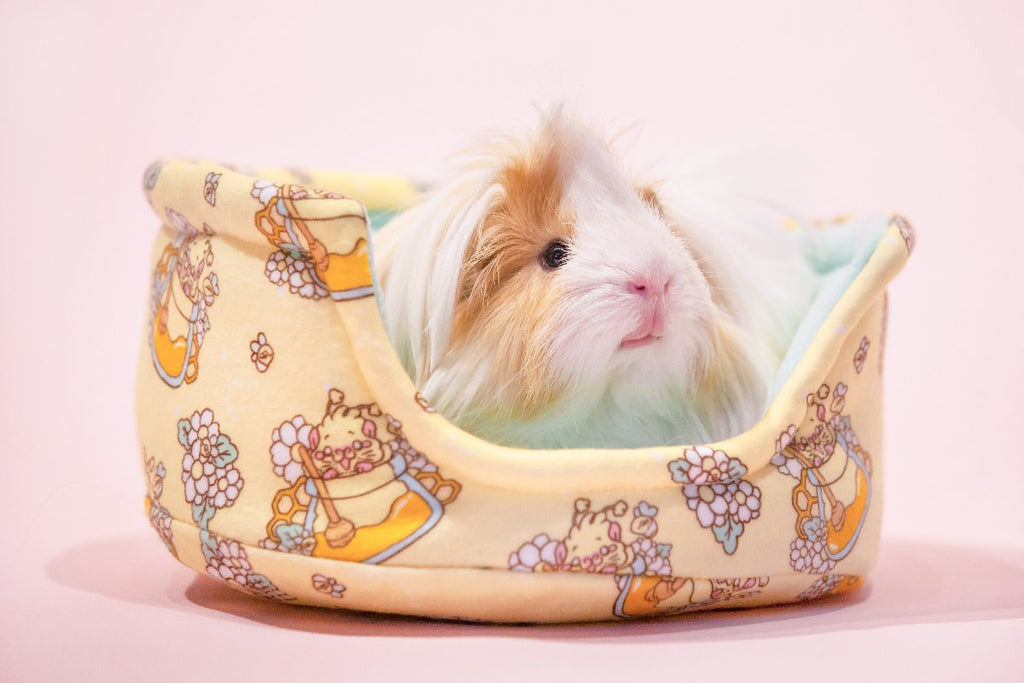 Honey Bee cuddle cup Guinea Pig Bed