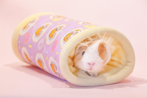 Donut Tunnel Guinea Pig Bed