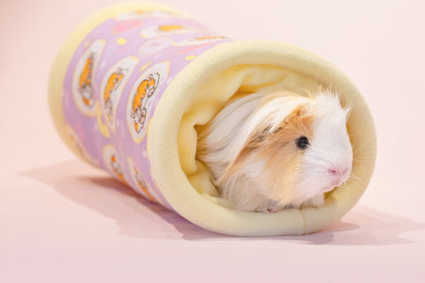 Donut Tunnel Guinea Pig Bed