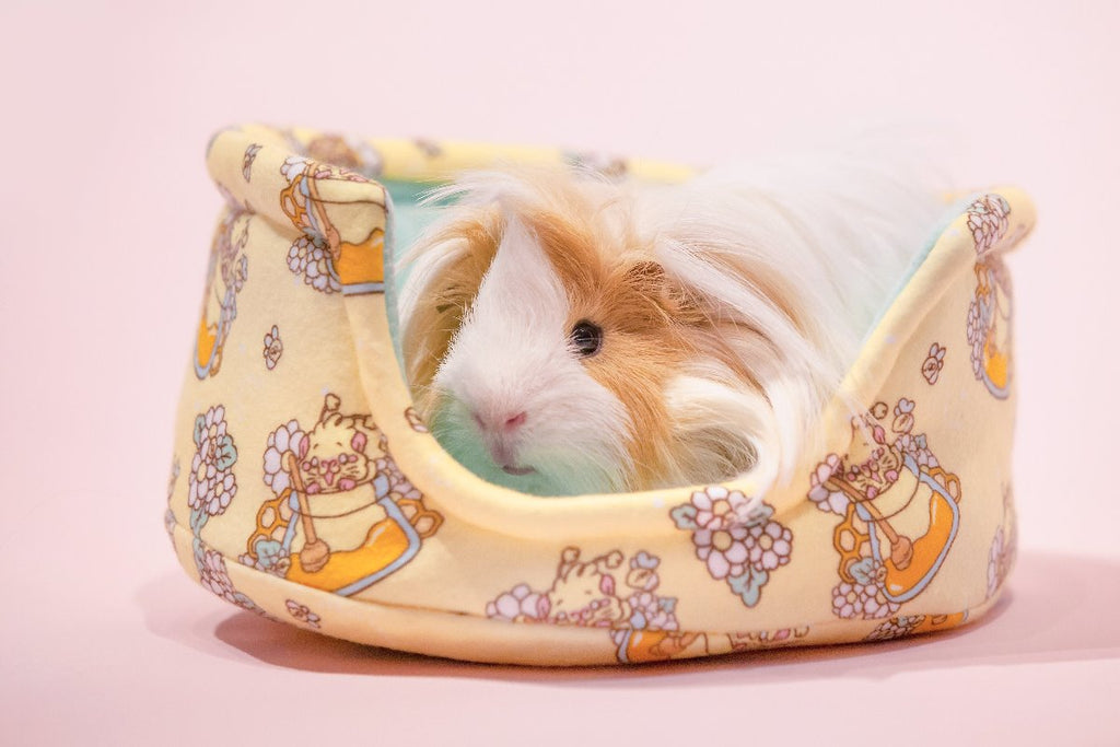 Honey Bee cuddle cup Guinea Pig Bed