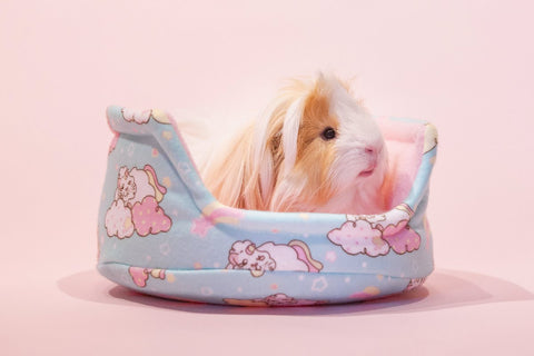 Unipiggie cuddle cup Guinea Pig Bed