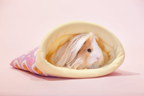 Donut Guinea Pig Fleece Snuggle Sack