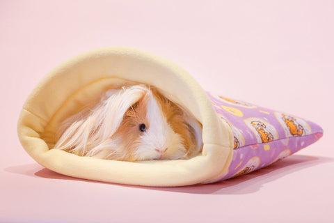 Donut Guinea Pig Fleece Snuggle Sack