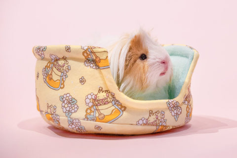 Honey Bee cuddle cup Guinea Pig Bed