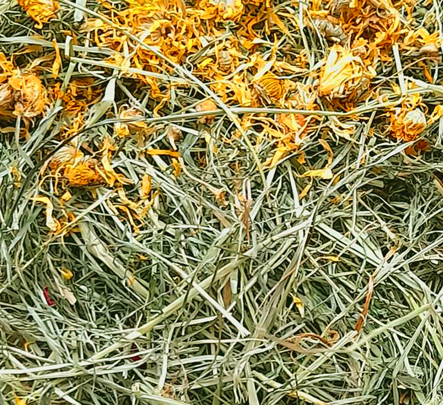 Premium Timothy Hay 1st cut with Marigolds