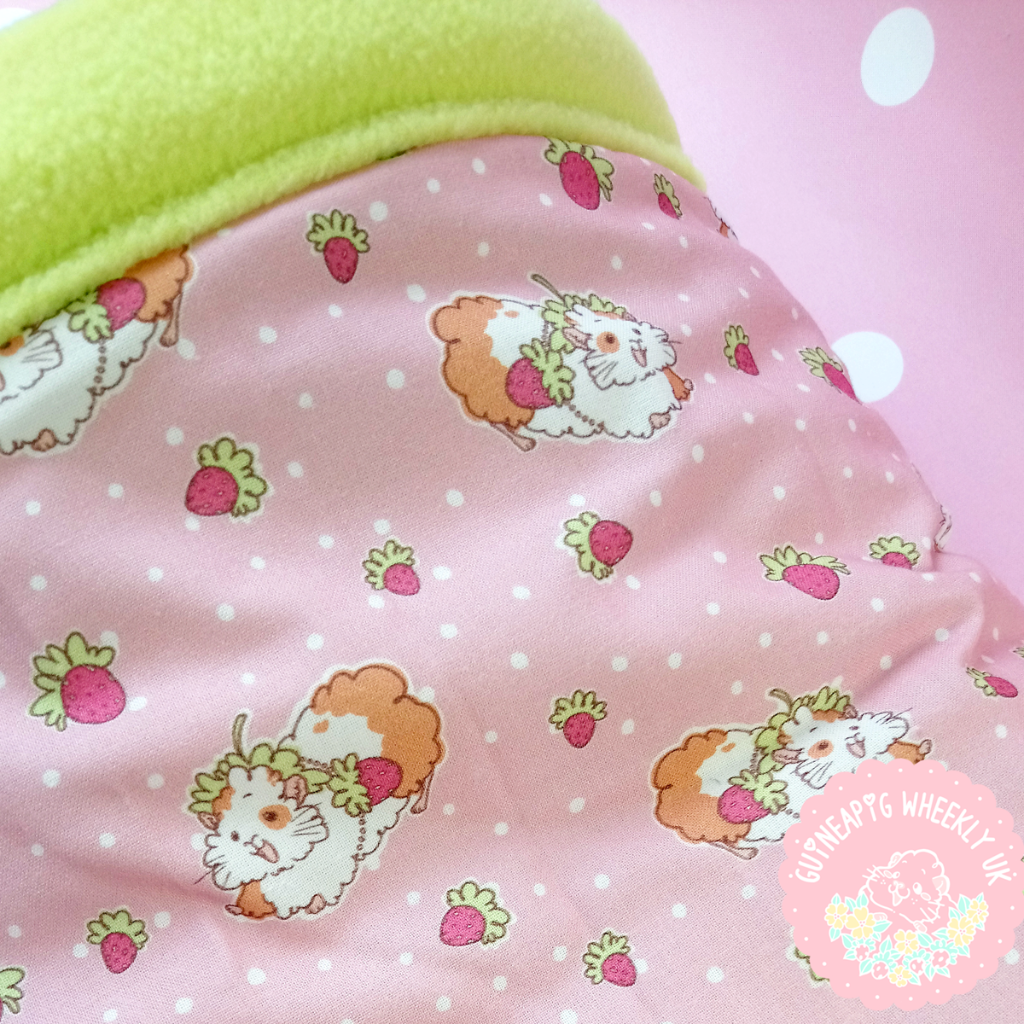 *NEW BACK IN STORE* Strawberry Guinea Pig Bed Snuggle Sack - Guineapig Wheekly UK