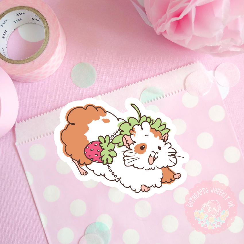 Strawberry Guinea Pig Sticker