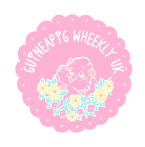 Guineapig Wheekly UK